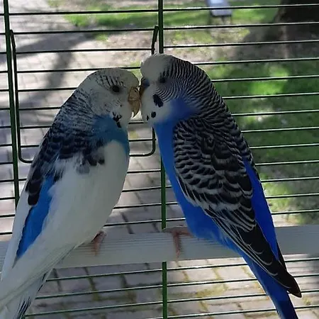 Panzió La Nel Frutteto Rovereto sulla Secchia