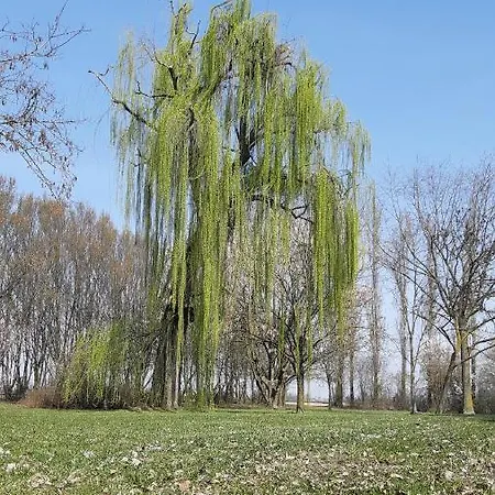 Panzió La Nel Frutteto