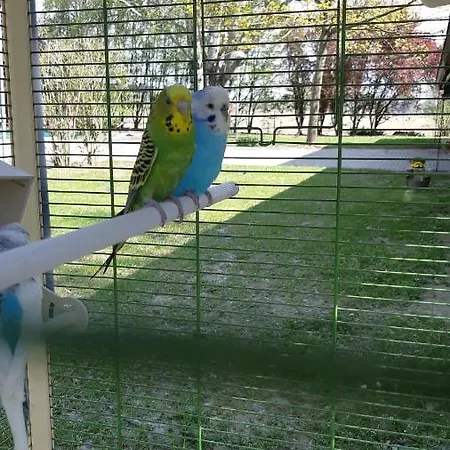 Panzió La Nel Frutteto Rovereto sulla Secchia