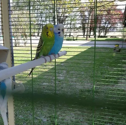 לינה וארוחת בוקר La Nel Frutteto Rovereto sulla Secchia